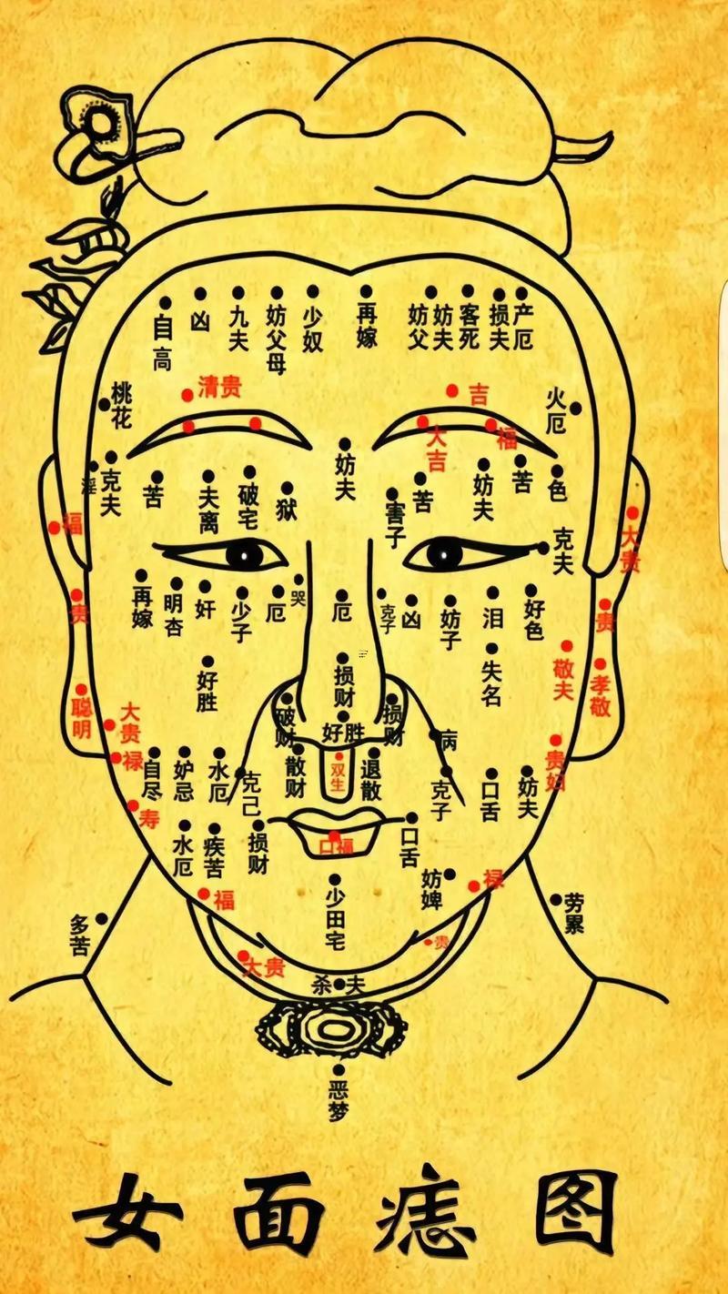 女人面相體相圖解大全一