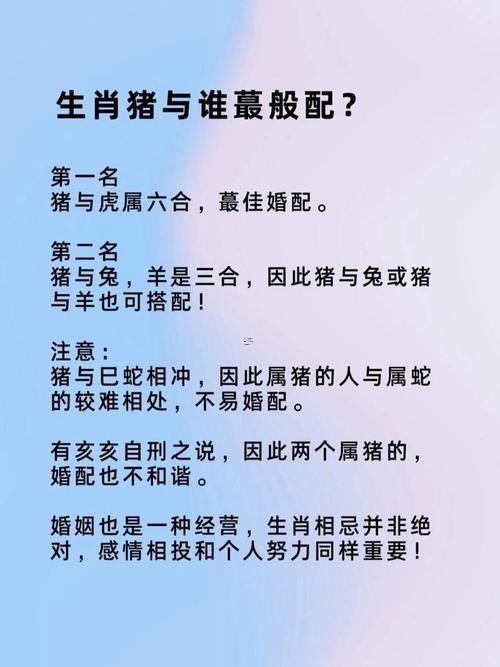 屬豬的多少歲