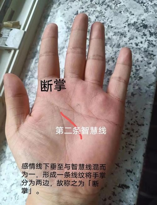 何事是斷掌紋