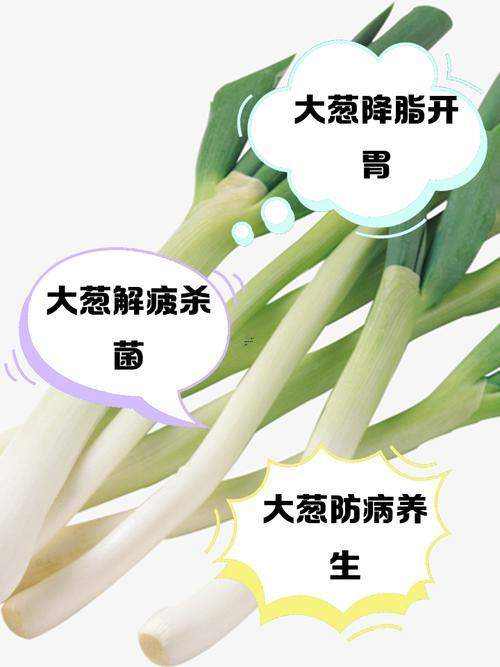 夢(mèng)見(jiàn)大蔥