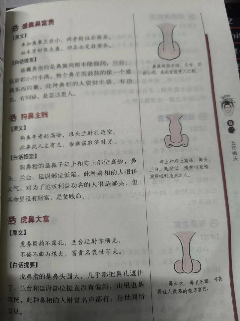 男士虎鼻的面相