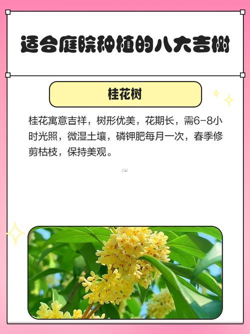2025年八月種樹吉運(yùn)天時大匯集