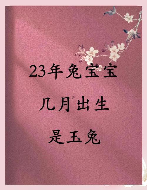 兔寶寶預(yù)產(chǎn)期吉日陽歷
