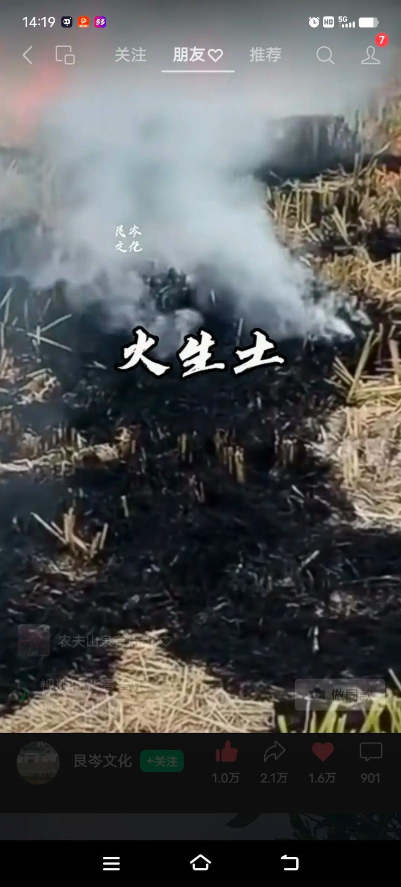 酒五行屬什么