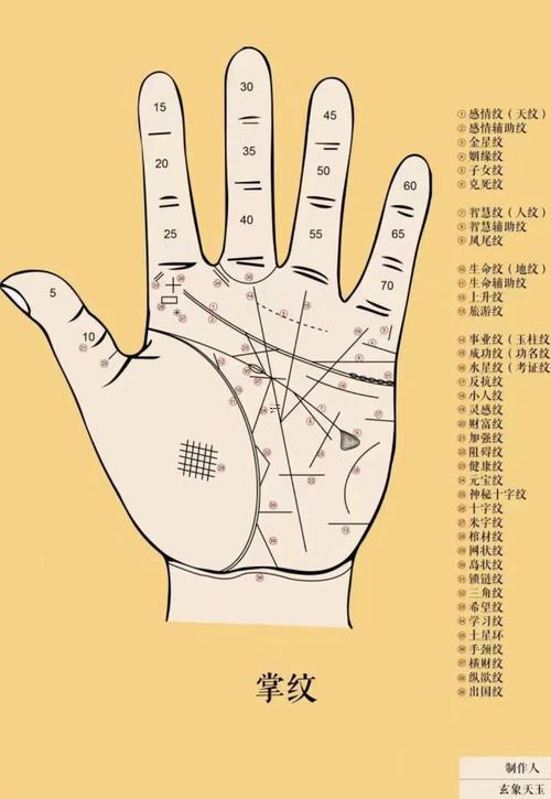 男士手相圖解左手