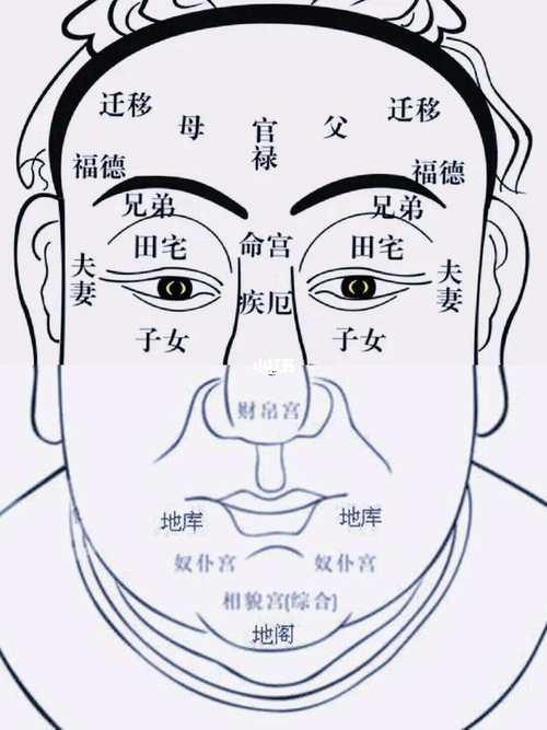 面相算命