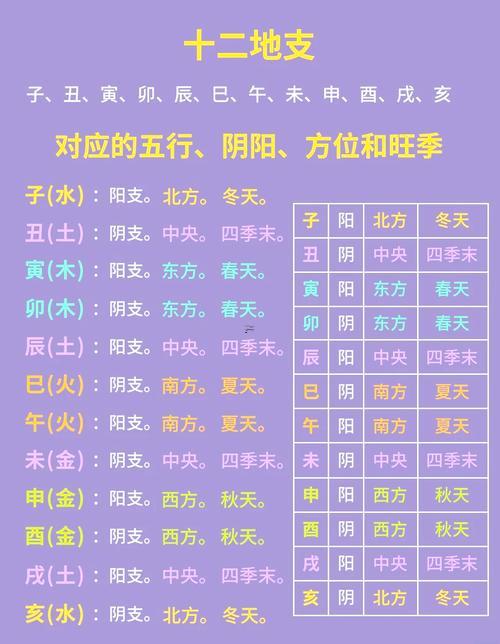 時五行屬何事