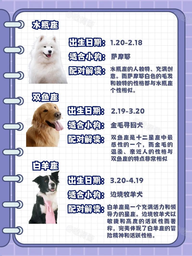 天秤座最喜歡的是什么動(dòng)物