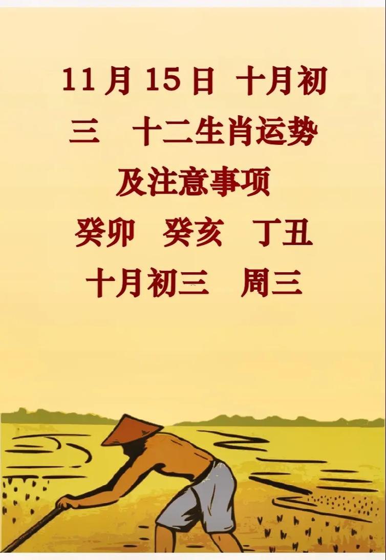 11年屬什么