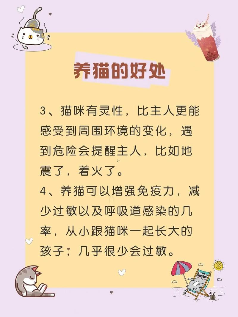 屬鼠的人能養(yǎng)貓嗎