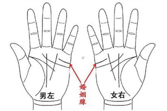 算命分左右手嗎