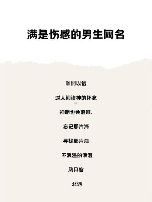 傷感網(wǎng)名男