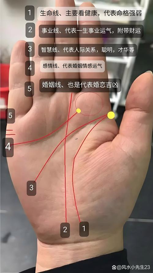 手相事業(yè)線