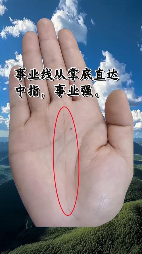 手相圖解男