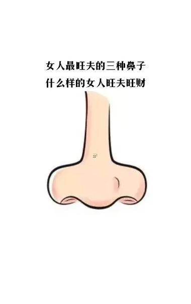 女人鼻子大旺夫