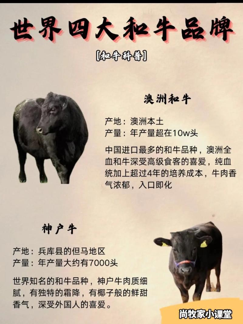 牛同牛屬相合不合