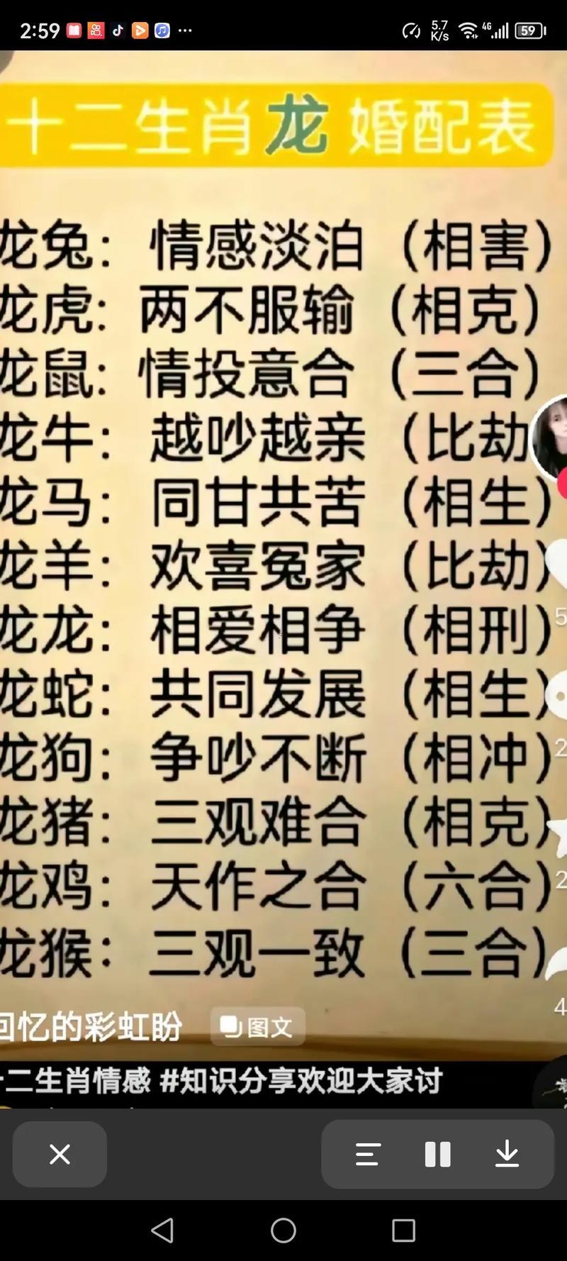 男馬女龍