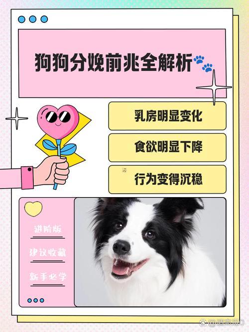 夢(mèng)見(jiàn)好多狗是啥預(yù)兆