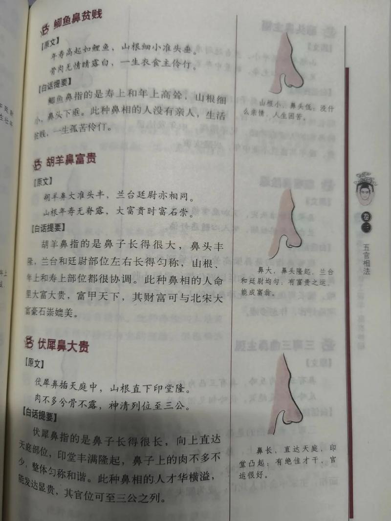 鼻頭有肉面相