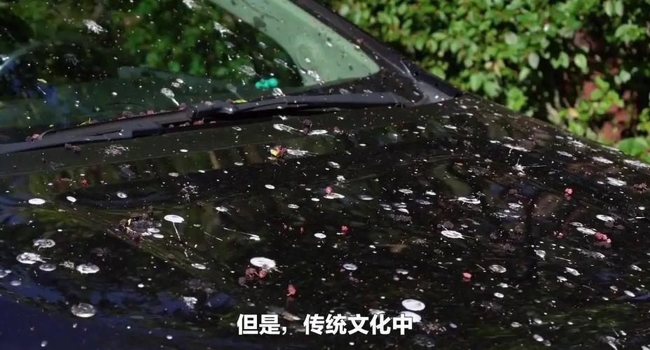 鳥屎掉頭上