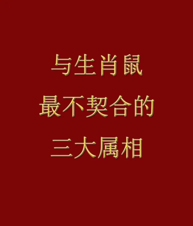 11月份的老鼠命好嗎