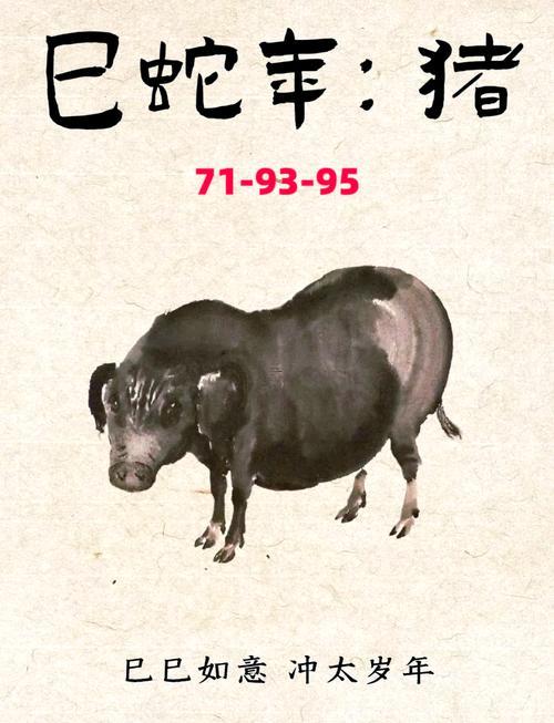 1995屬豬的女孩何事命