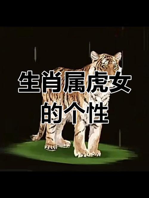 屬虎女的性格特點(diǎn)以及缺點(diǎn)