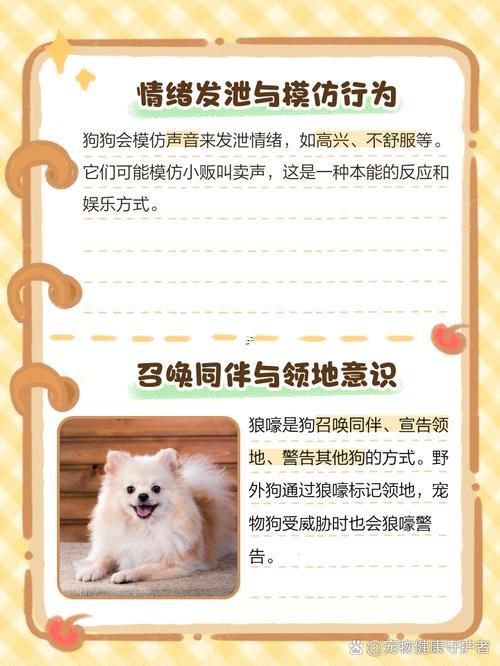 夢(mèng)見撿到狗