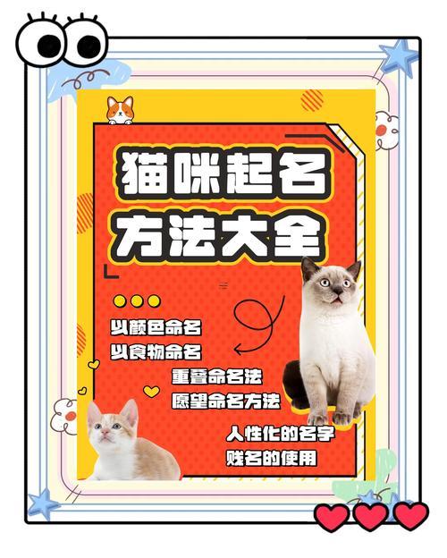 高雅好聽的寵物貓名字