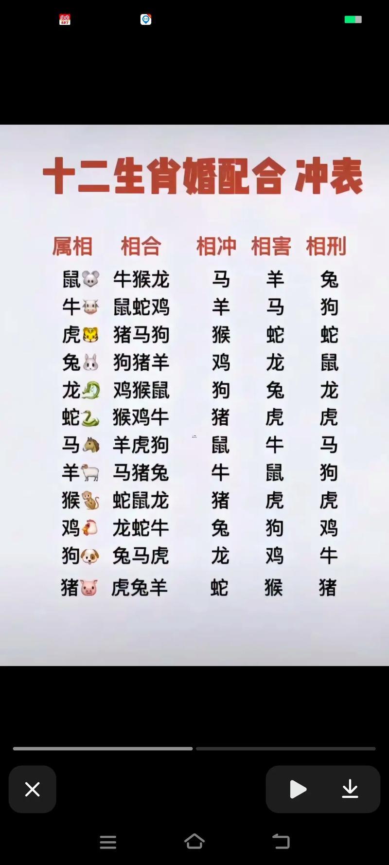 十二生肖鼠