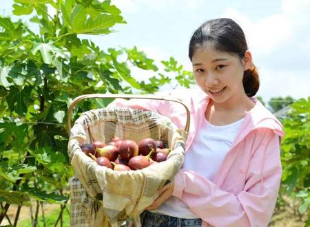 2026年7月拜師吉日 2026年7月拜師黃歷