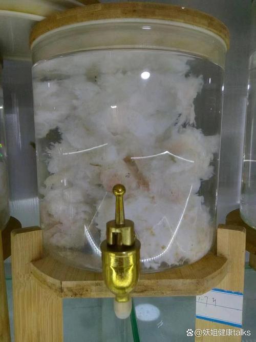 太歲包是啥時(shí)候燒最佳