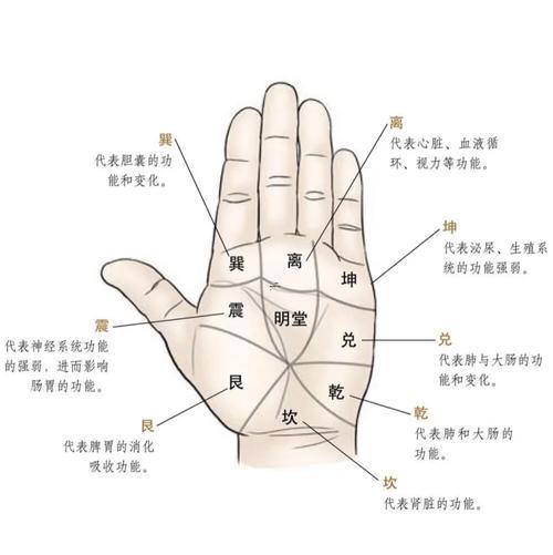 看手相知健康