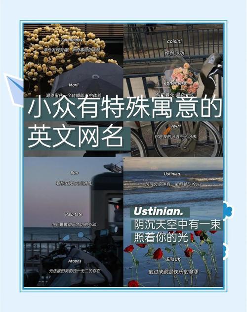 不一般意義小眾的英文ID