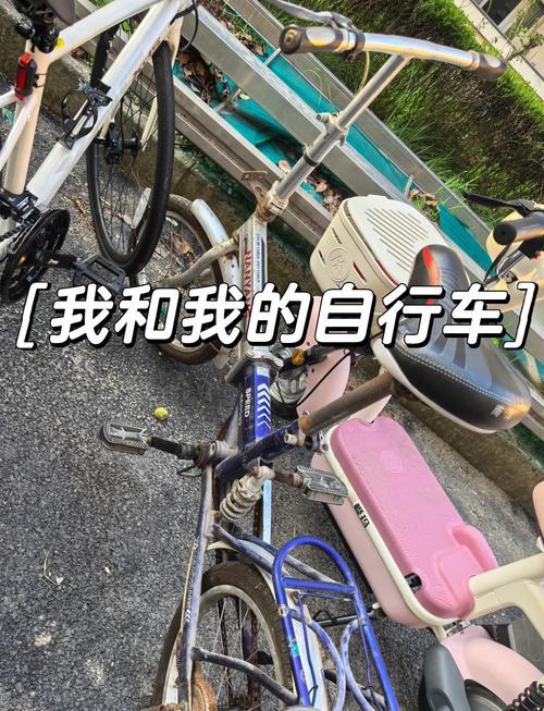 夢見自行車丟了