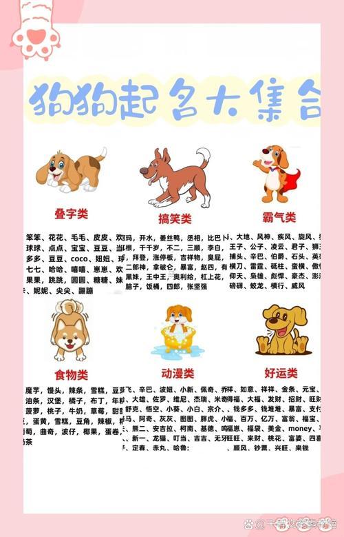 好聽高貴的寵物狗名字