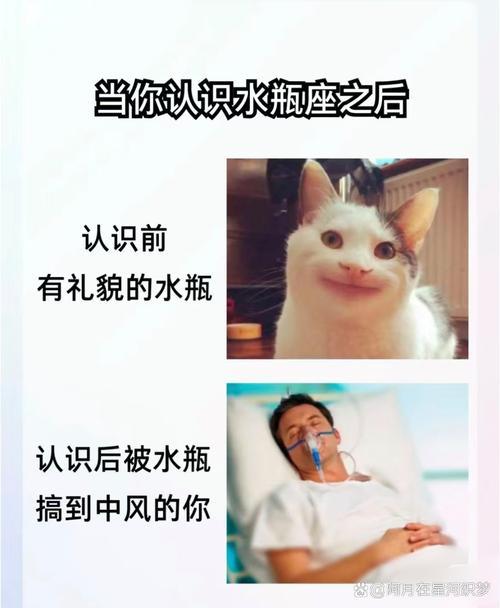 十二星座all水瓶文