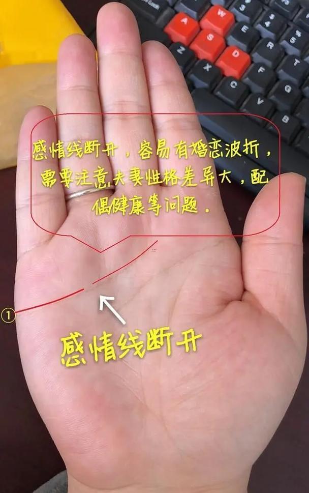 感情線短
