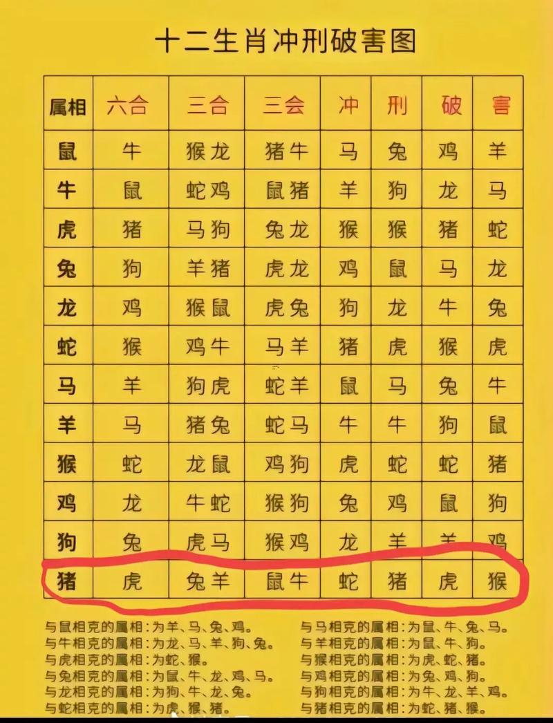 豬同虎的屬相合不合