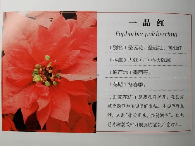 摩羯座標(biāo)記冬天開始的星座