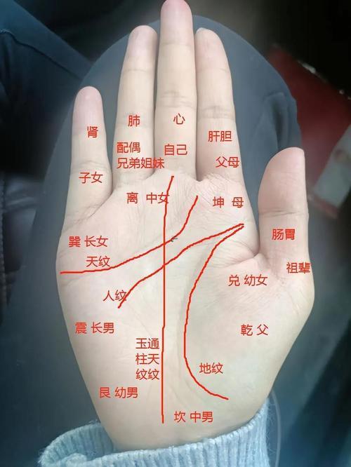 手相看左手還是右手