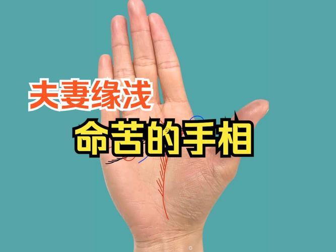 什么樣的手相長命