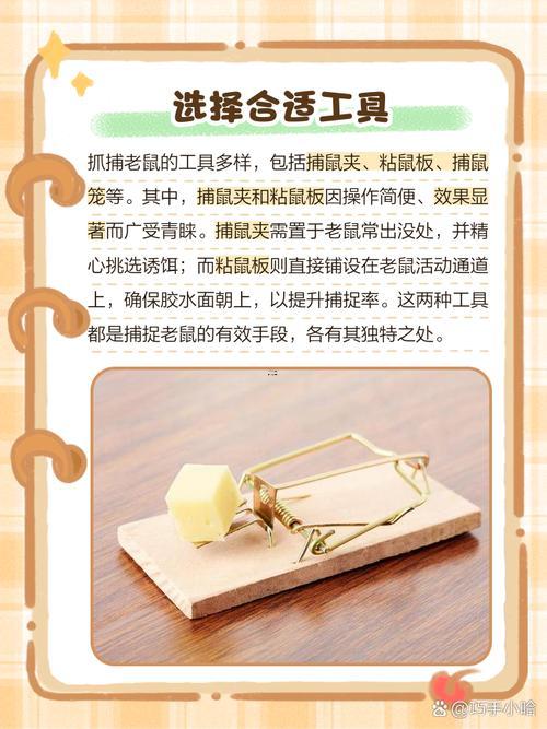 夢到抓老鼠