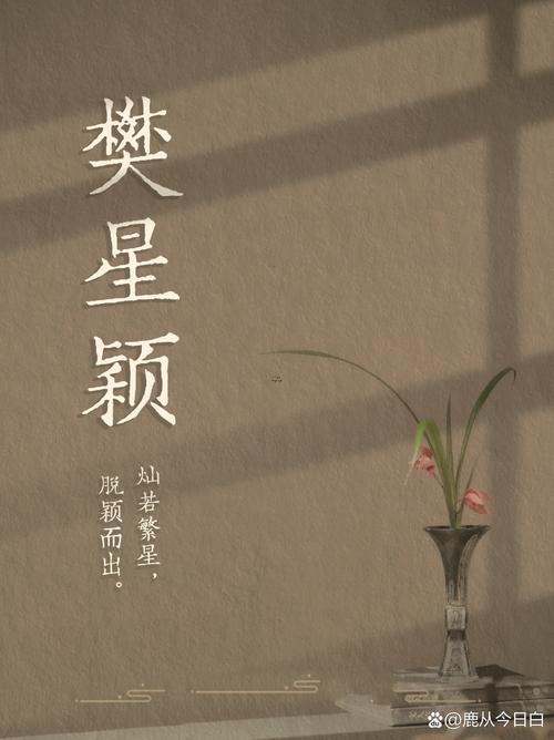 樊姓取名