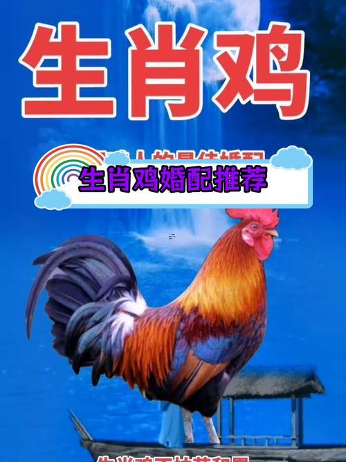 屬雞男最佳婚配屬相