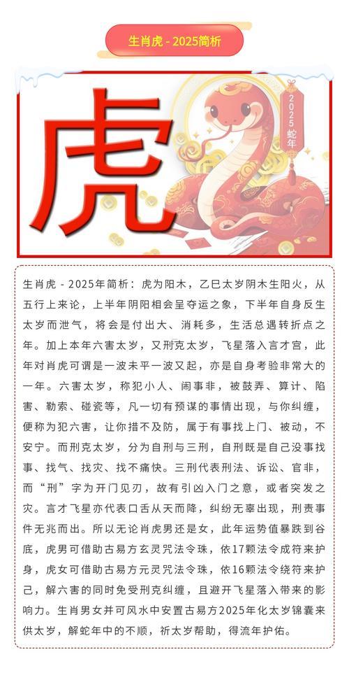 2025年屬龍的是