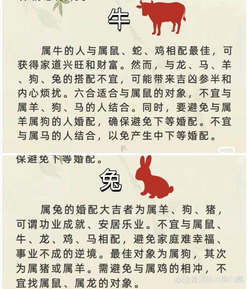 屬狗和屬兔得合不合