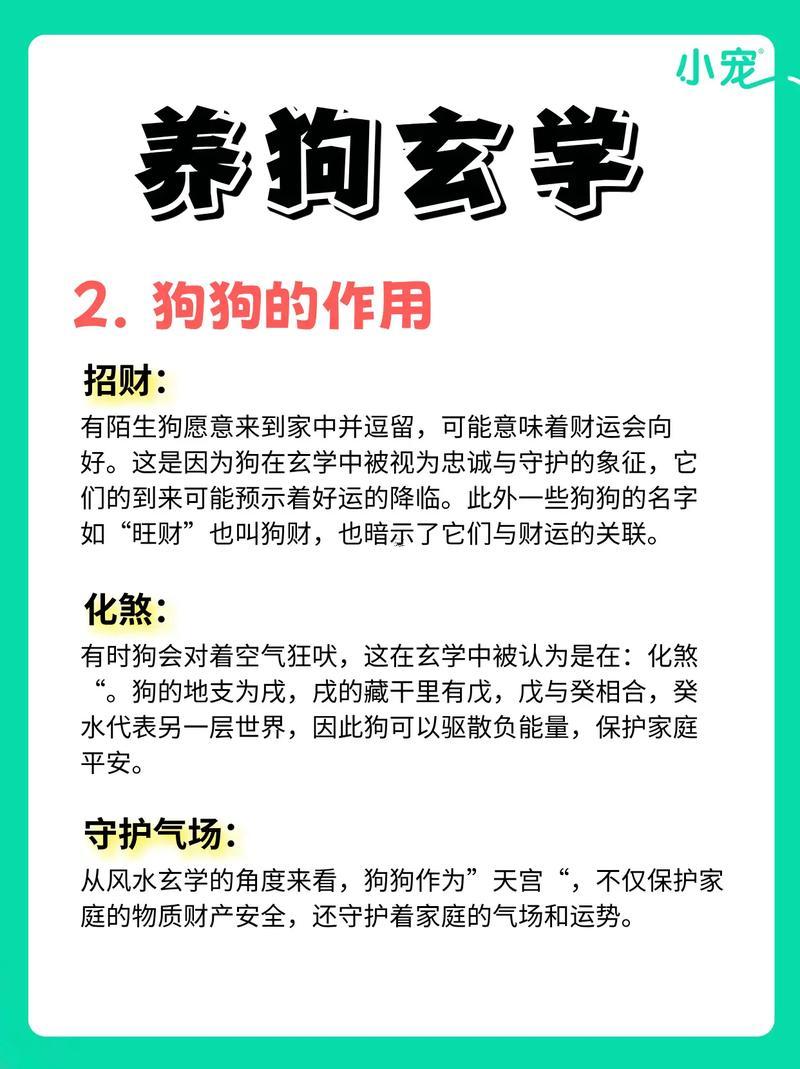 屬狗做生意跟何事屬相最配