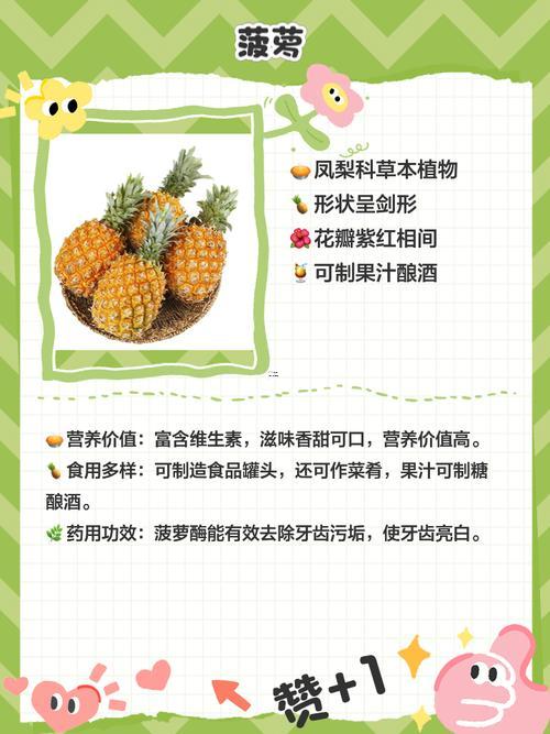 吉祥水果有什么東西
