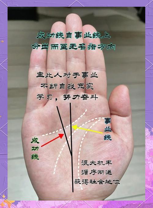 掌紋生命線